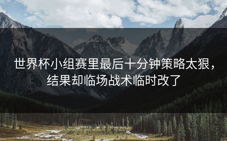 世界杯小组赛里最后十分钟策略太狠，结果却临场战术临时改了