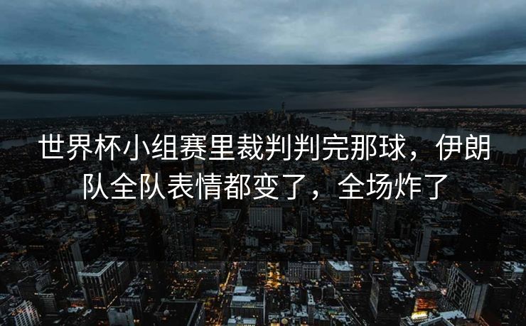 世界杯小组赛里裁判判完那球，伊朗队全队表情都变了，全场炸了
