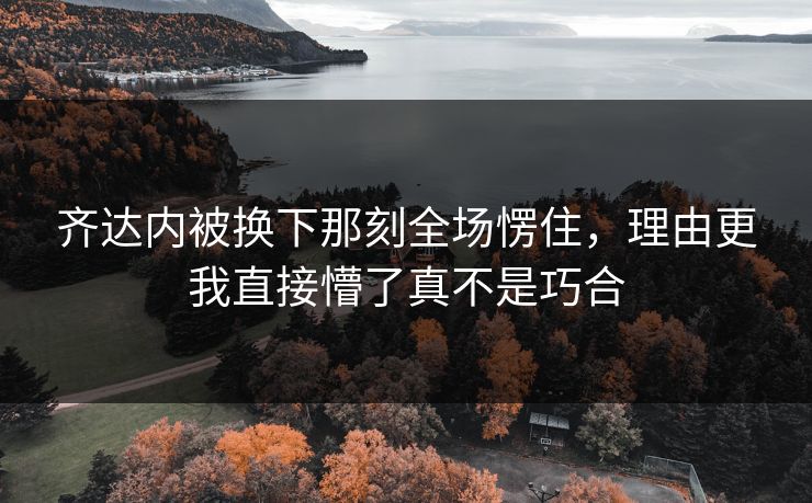 齐达内被换下那刻全场愣住,理由更我直接懵了真不是巧合 齐达内被换下那刻全场愣住,理由更我直接懵了真不是巧合