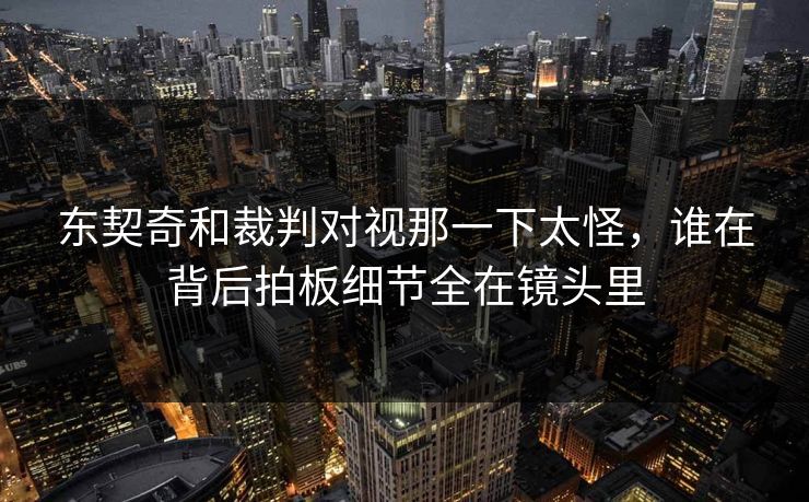 东契奇和裁判对视那一下太怪，谁在背后拍板细节全在镜头里